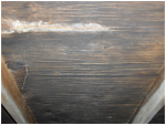 Discolored Plywood or Mold